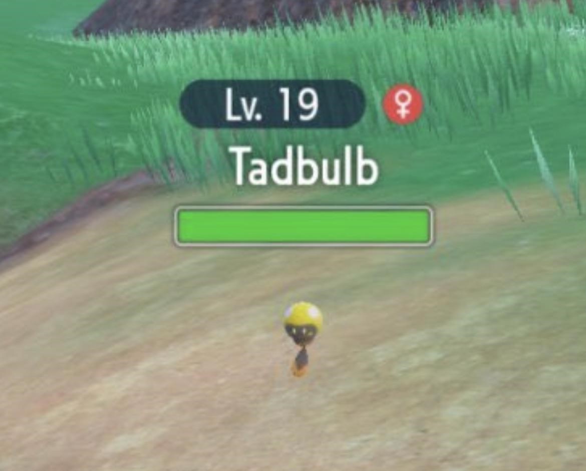 Tadbulb, pre-evolución de Bellibolt.

pokemon-project.com/escarlata-y-pu…
