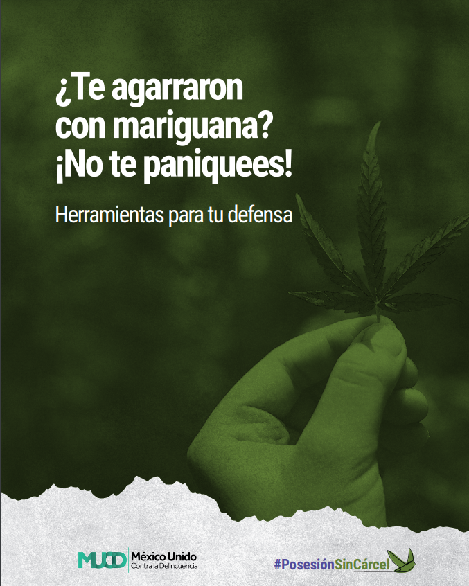MUCDoficial's tweet photo. ¿Sabes qué decir ante el MP si te detienen por PORTAR o POSEER #cannabis para USO PERSONAL? 😣

¡Checa esta publicación! Te compartimos herramientas para tu defensa.
👉 https://t.co/mL3HWgBdqN   

#PosesiónSinCárcel ⚖️ https://t.co/J7P0SKiToM
