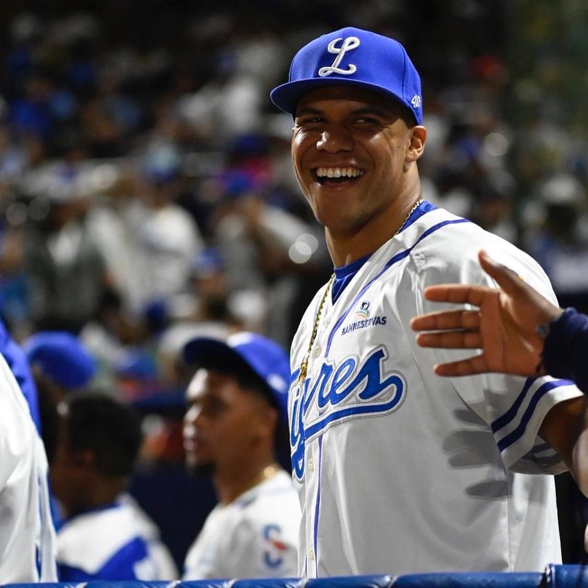 TigresdelLicey's tweet photo. ¡BIENVENIDO A TU CASA! @JuanSoto25_ 💙🙌🏼

#DeSangreAzul #LiceyFamily https://t.co/WiM7lF5E0d