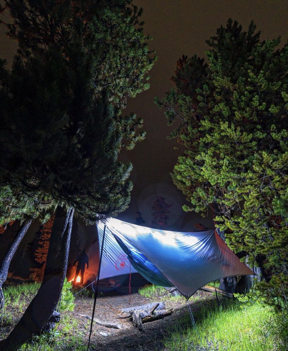 GRAND TRUNK tweet media