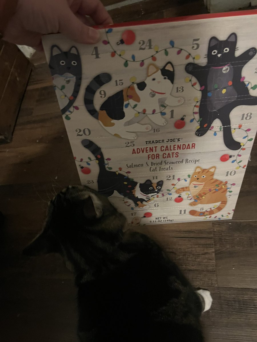 empobycho's tweet photo. When today was the most unnecessarily long day, it calls for immediately going to Trader Joe’s for cookies, bourbon, and a cat treat advent calendar. #isitvacationyet https://t.co/hFgYAhR8Nc
