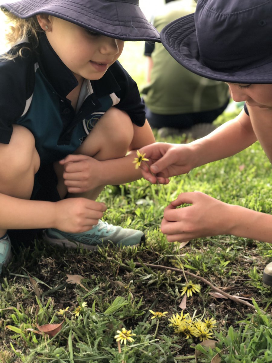 mrs_sammillar's tweet photo. Lovely #buddy session with the #Yr5 and #Prep students @Cornish_College today. #Whittling and #daisy chains. #100acreclassroom #perseverance #creativity #crossagelearning https://t.co/7Fj87QuW3Y