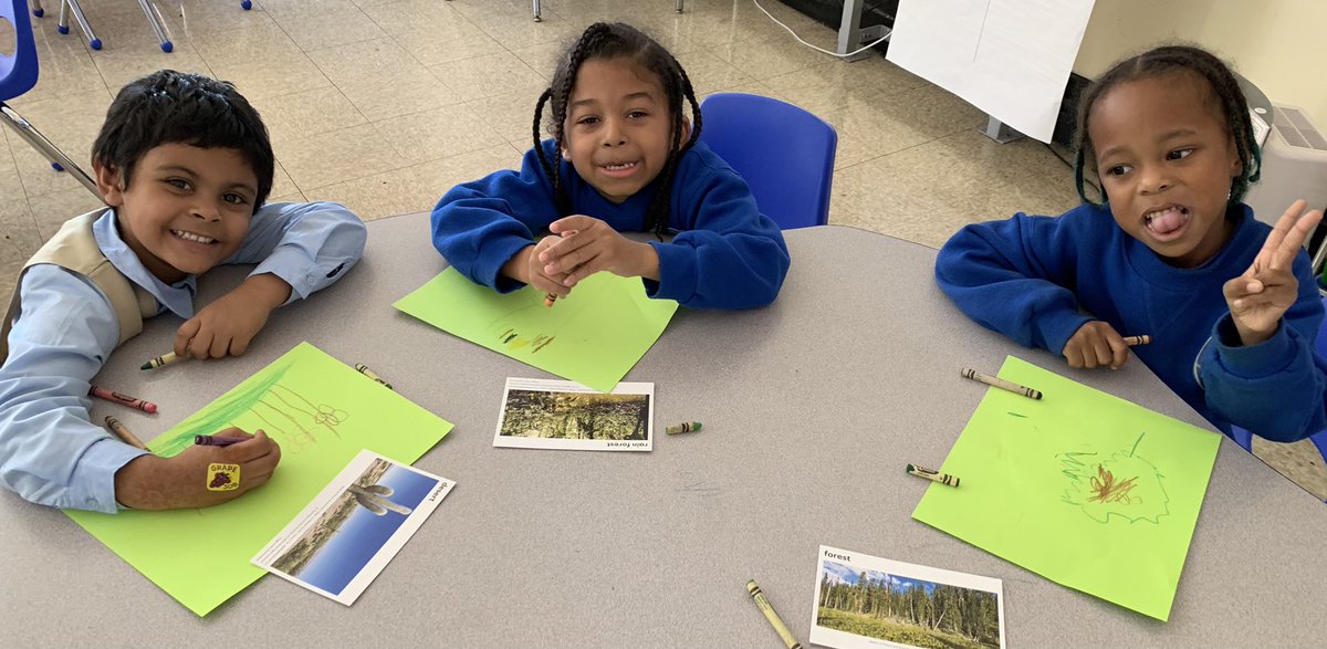 JCS312Q's tweet photo. Our Kindergarten Cubs showcased their science thinking by illustrating desert and forest ecosystems. #futurescientists #JCSPride #WeRoar https://t.co/Gu3mULFat5
