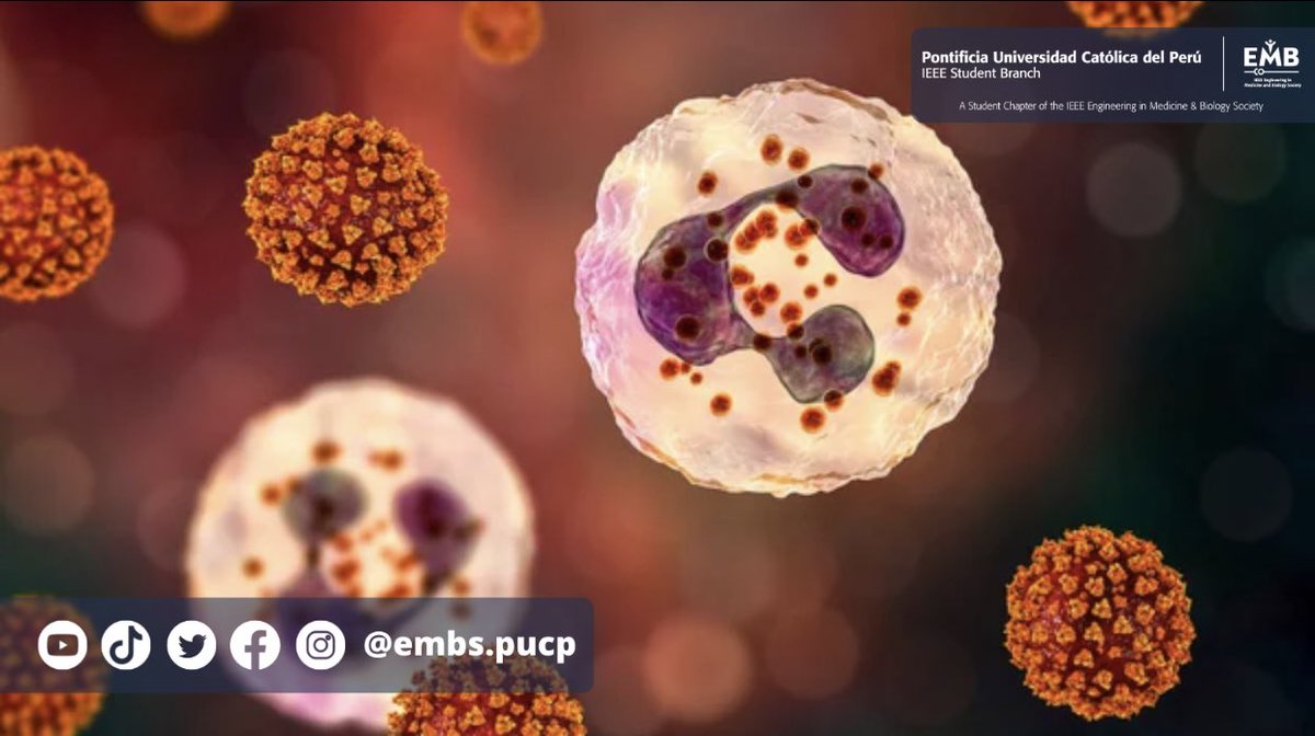 EmbsPucp's tweet photo. 📌Los investigadores utilizaron como modelo en su estudio el #síndrome de #anticuerpos antifosfolípidos (APS), en el que se ven coágulos arteriales y venosos. Identificaron eventos moleculares clave que sirven como objetivos potenciales para tratar la #trombosis en APS. https://t.co/WWeaKOfJPI
