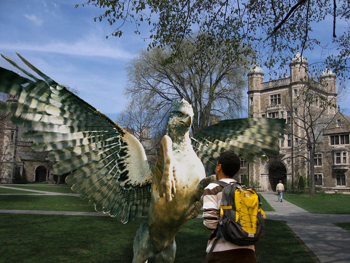 OPINION: This Is Just Like Hogwarts!
By A Freshman Witnessing Law Quad, Hippogriff Attack bit.ly/3TqbKdZ