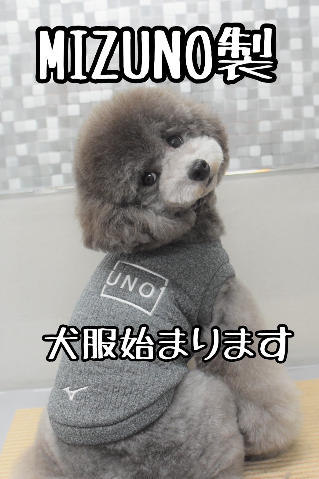UNO 犬服 Sサイズ グレー 32JC3DG266 MIZUNO 宇野昌磨 UNO 犬服 Sサイズ グレー 32JC3DG266 MIZUNO 宇野昌磨 - メルカリ