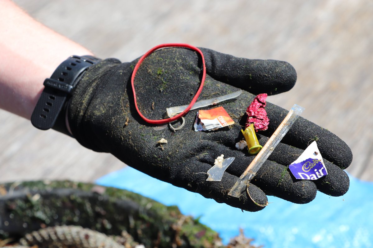 Australian National Maritime Museum Education tweet media