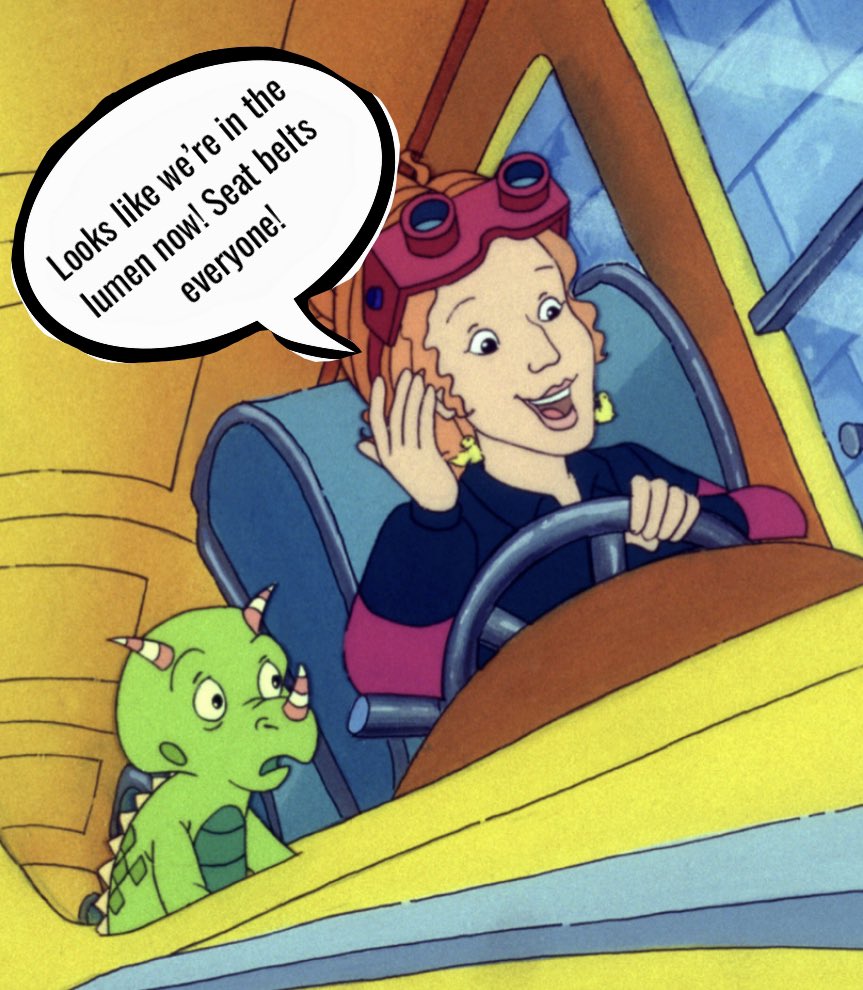 SmoothER2022's tweet photo. New book out now! Go below the phospholipid membrane of the Smooth ER and hear Ms. Frizzle talk about the inside (called the lumen) of the best organelle around. https://t.co/rACsGAQLZD