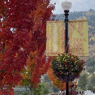 firechief77's tweet image. #NewProfilePic