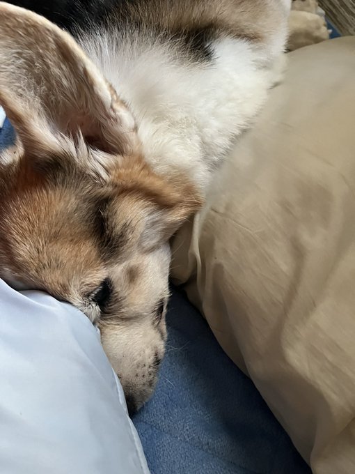 おはようございます。 