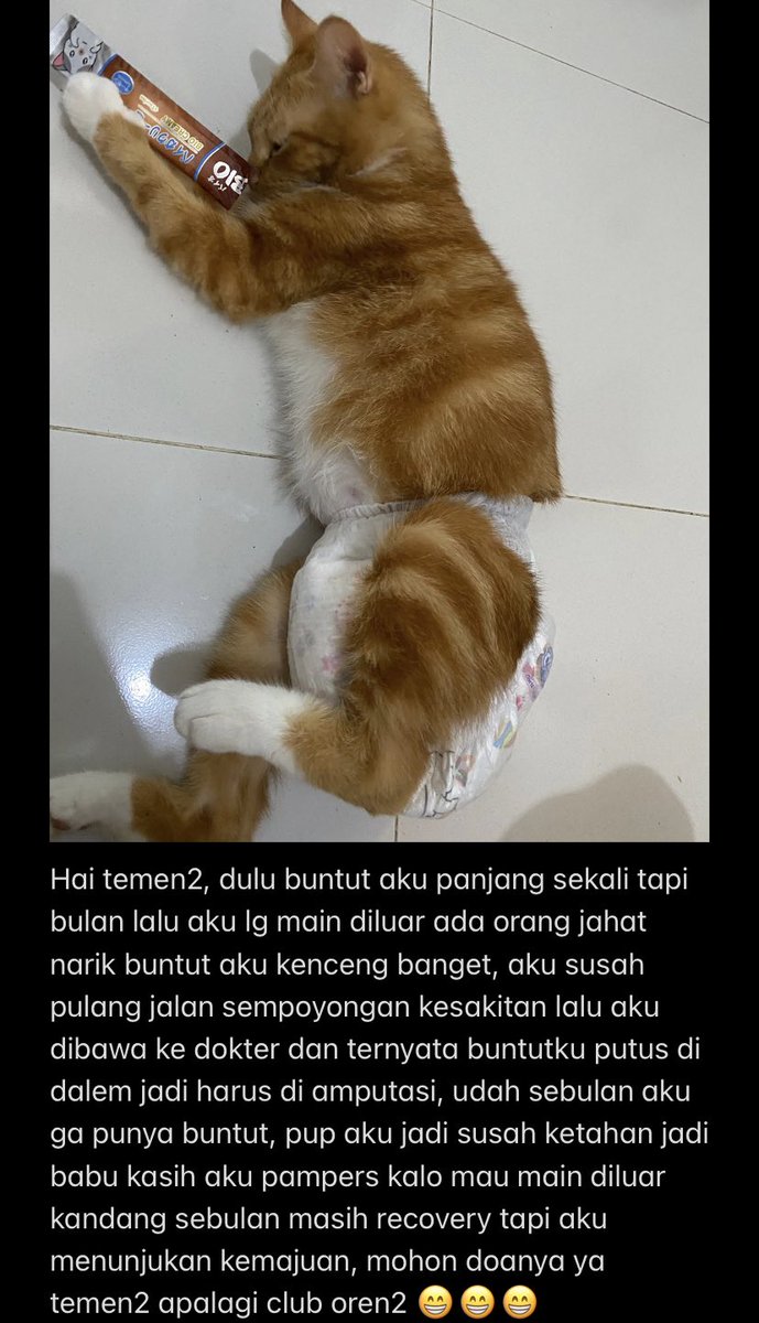 KochengFess v2 tweet media