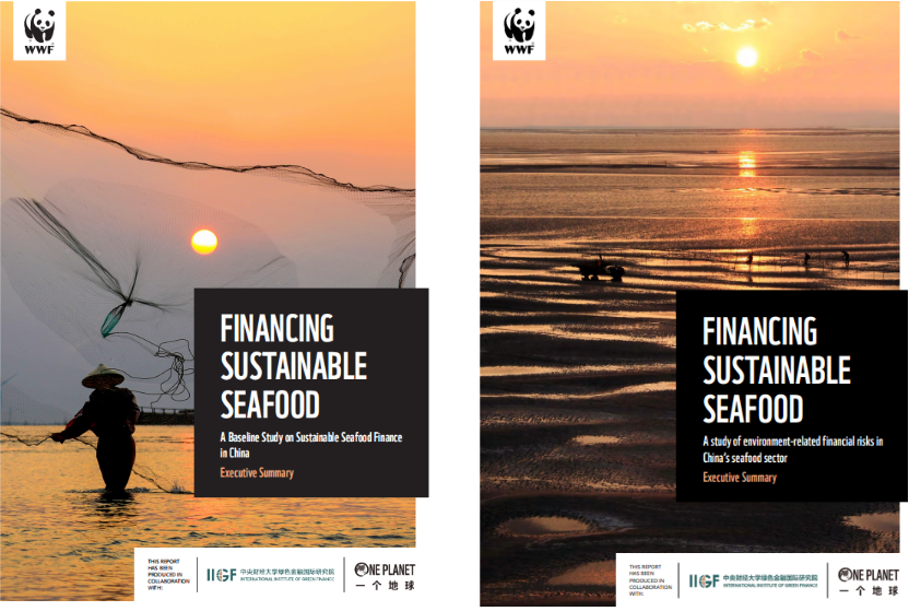 IIGF_CUFE's tweet photo. We are pleased to present you our new reports:
1️⃣ Financing Sustainable Seafood: A Baseline Study on Sustainable Seafood Finance in China
2️⃣ Financing Sustainable Seafood: A study of Environment-related Financial Risks in China's Seafood Sector.
#seafood #SDG #greenfinance https://t.co/UCCNfWfHLo