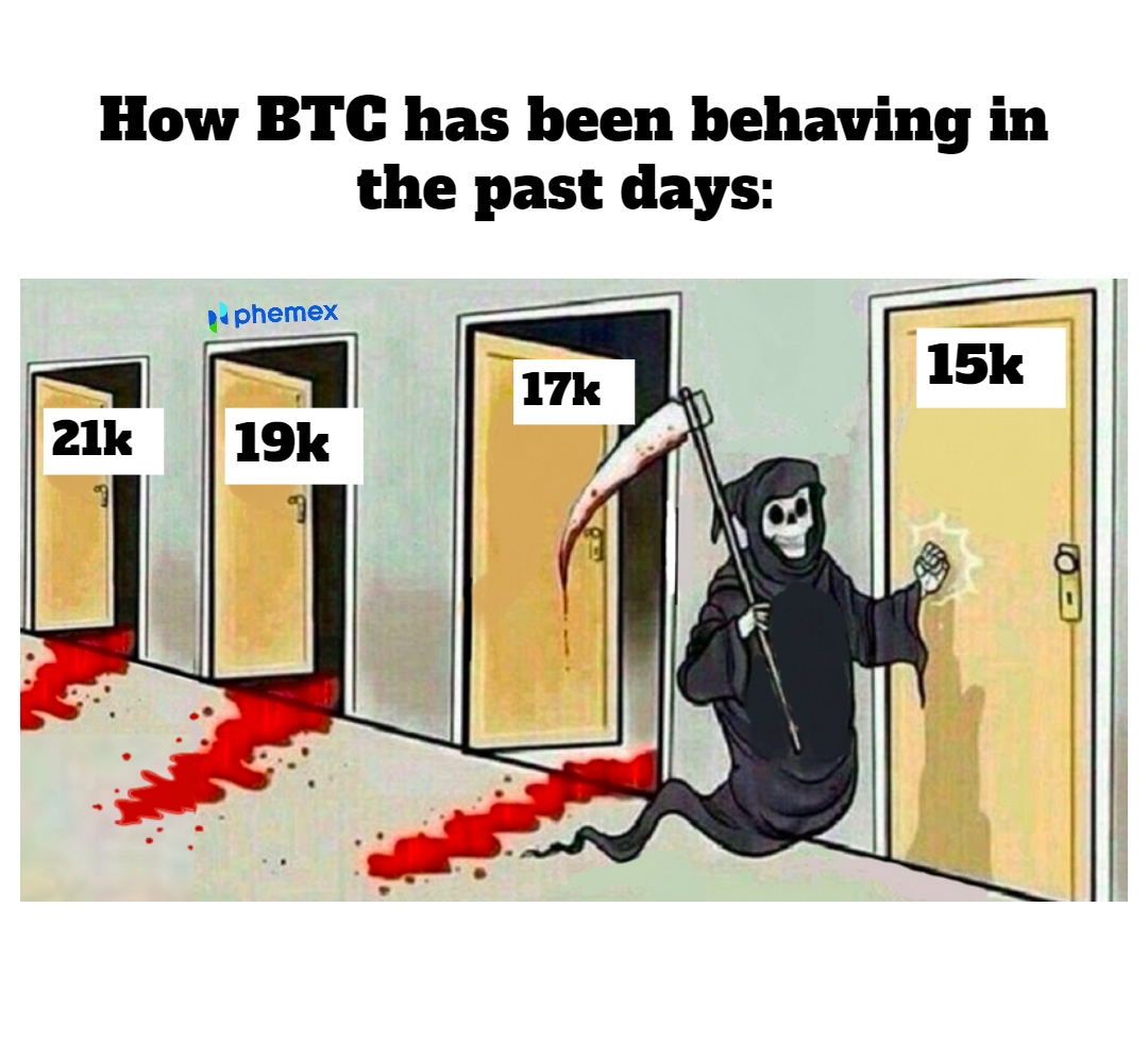 Phemex_official's tweet photo. - Knock, knock!
- No one's home, I promise 😭 
#cryptomeme #crypto #funny #Phemex #meme #cryptofun #memes #dailymemes https://t.co/SNheaTVJ9d