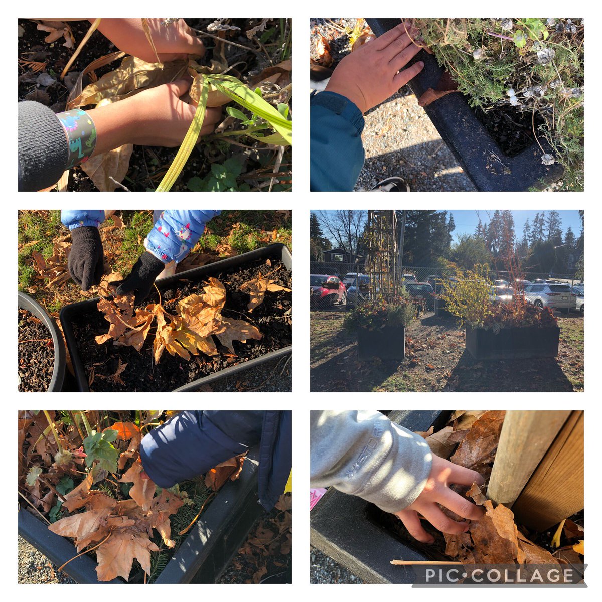 Niki Leech tweet media