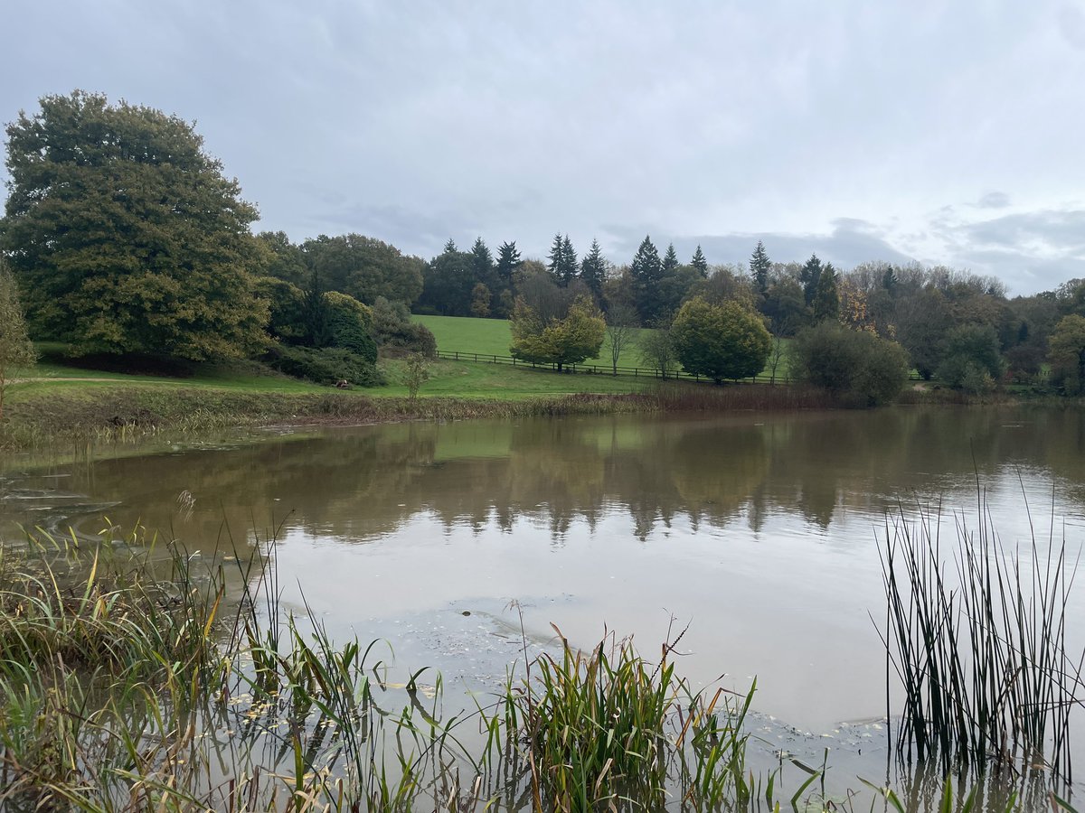 GotwickEstate's tweet image. That’s the highest it’s been in a while 🌧️ 

#countryestate #eastgrinstead #englishcountryside #farmscape #farmland #sussexcountryside #pond #lake #uknature #nature #rain #waterlevel