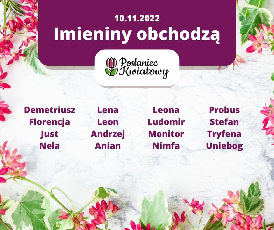 PoslaniecK's tweet photo. Obchodzicie #imieniny ? Na pewno TAK! 😊

Możecie zamówić u nas #kwiaty które przyjdą prosto pod drzwi imieninowego solenizanta. Musicie jednak się spieszyć, bo dostawy tego samego dnia wykonujemy tylko wtedy, gdy zamówienie zostanie złożone do 16:00!

https://t.co/YnRUZXSRHO https://t.co/S8QP71Qnly