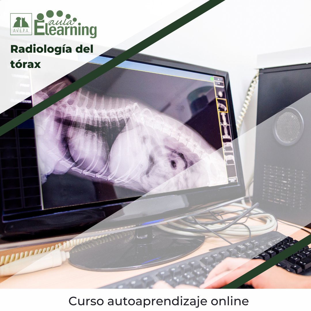AVEPA_vet's tweet photo. #Cursoonline de autoaprendizaje de #Radiografíatórax en el Aula #avepaelearning.
Durante 6 meses podrás acceder al curso y obtendrás 6h acreditadas por AVEPA.
¿A qué esperas? https://t.co/iOIv7URW4L https://t.co/2MBacXh2Jw