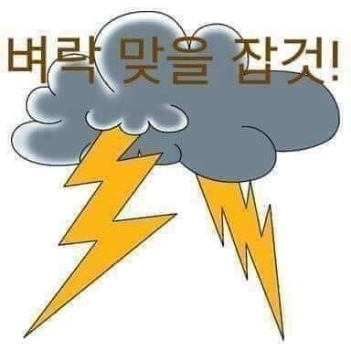 윤석열 정부 개자식들 

어제 문재인 대통령께서 
풍산개를 양도 받으실 의향이 있다고 직접 밝히셨는데도 지자체에 위탁관리 시킨단다

개나 고양이는 사람과 교통하면서 정을 주고 받으며 사는 동물인데
지자체에 맏겨서 목줄로
묶어놓고 사료만 주면
그게 동물학대 아니고 뭐란 말이냐?