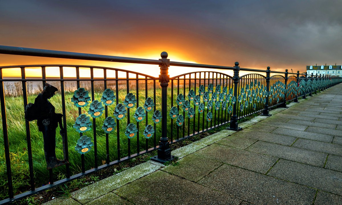 Ben_1135's tweet photo. Tommy 1101 sunrise at Seaham Harbour. 

#tommy1101 #sunrise #Seaham #codurham https://t.co/Om4WGrM0Bq