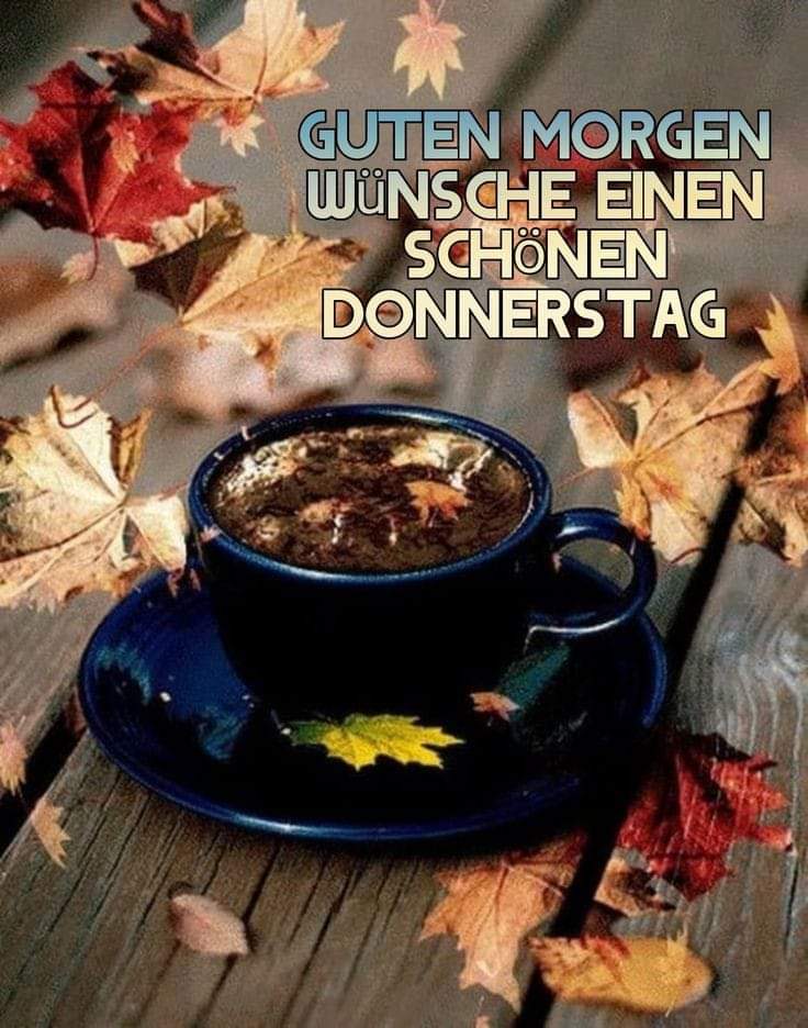 jessica Baumann tweet media