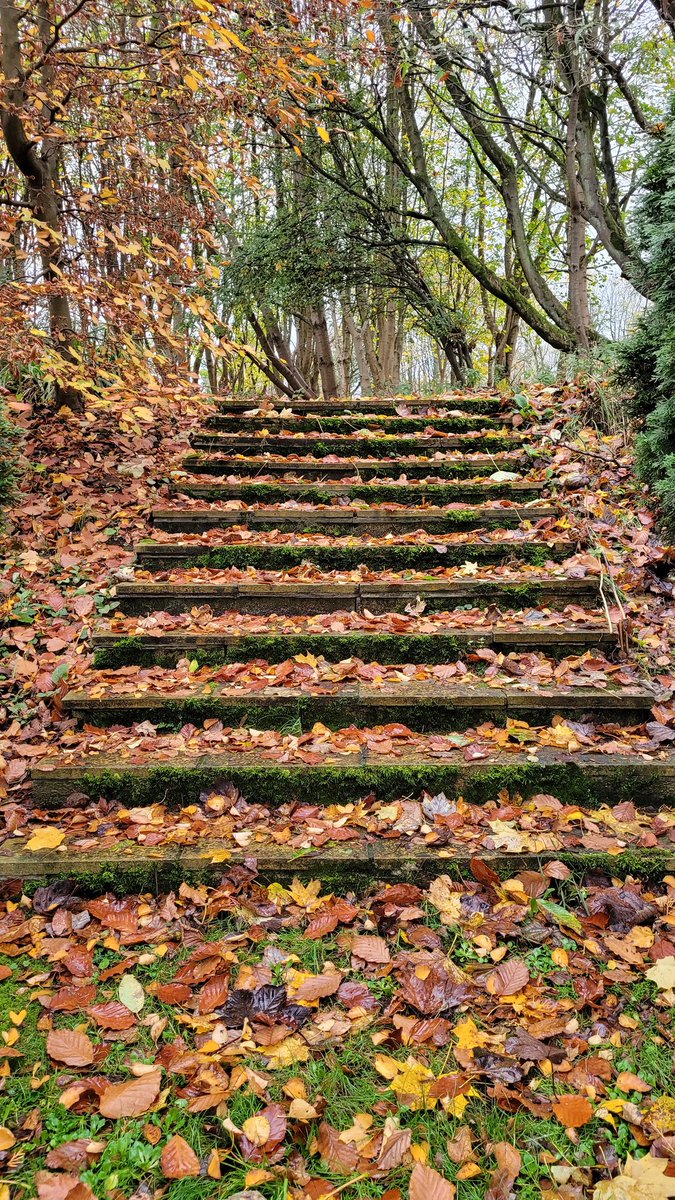 Helen Gilpin- QN tweet media