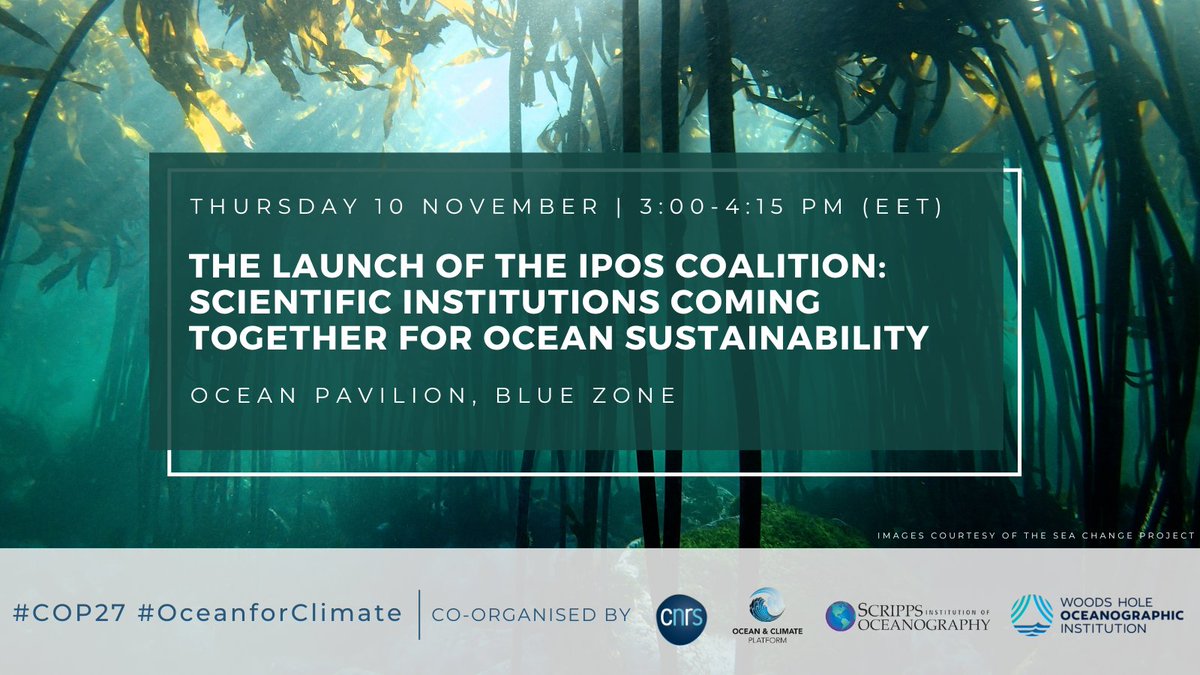 ocean_climate's tweet photo. [#COP27] Our 1st event will be followed by the ”Launch of the IPOS Coalition: Scientific institutions coming together for ocean sustainability” 🪸
📍#OceanPavilion
⏰ 3:00-4:15 pm

w/ @CNRS @WHOI @Scripps_Ocean
#OceanforClimate #Together4Implementation https://t.co/mzqniyDICI
