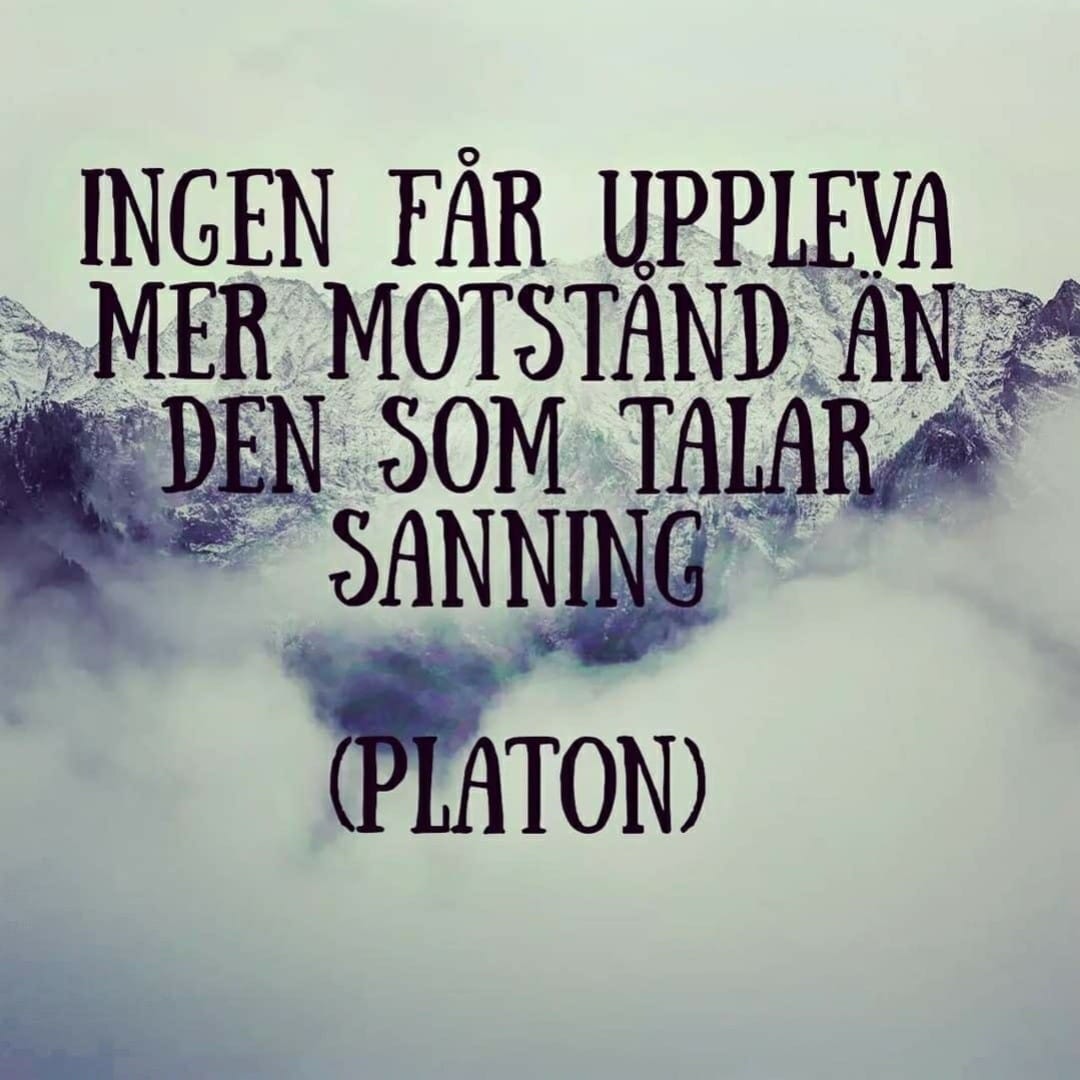Mats Qviberg (@matsqviberg) on Twitter photo 