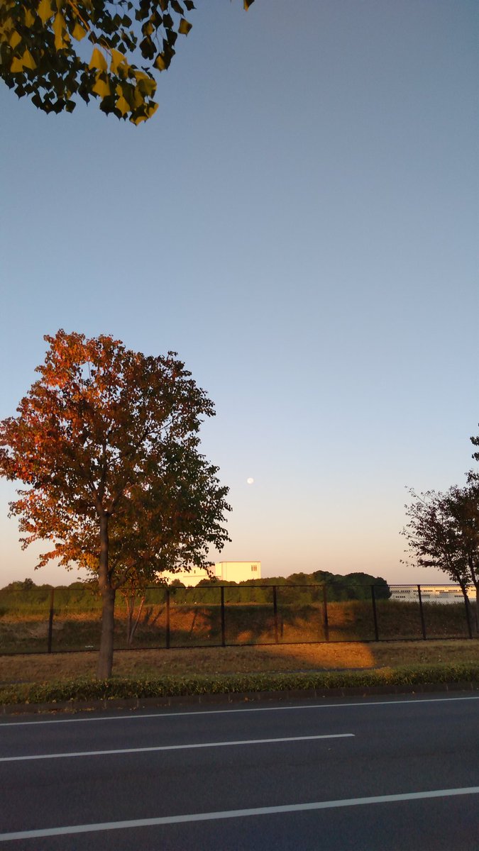 tougesou tweet picture
