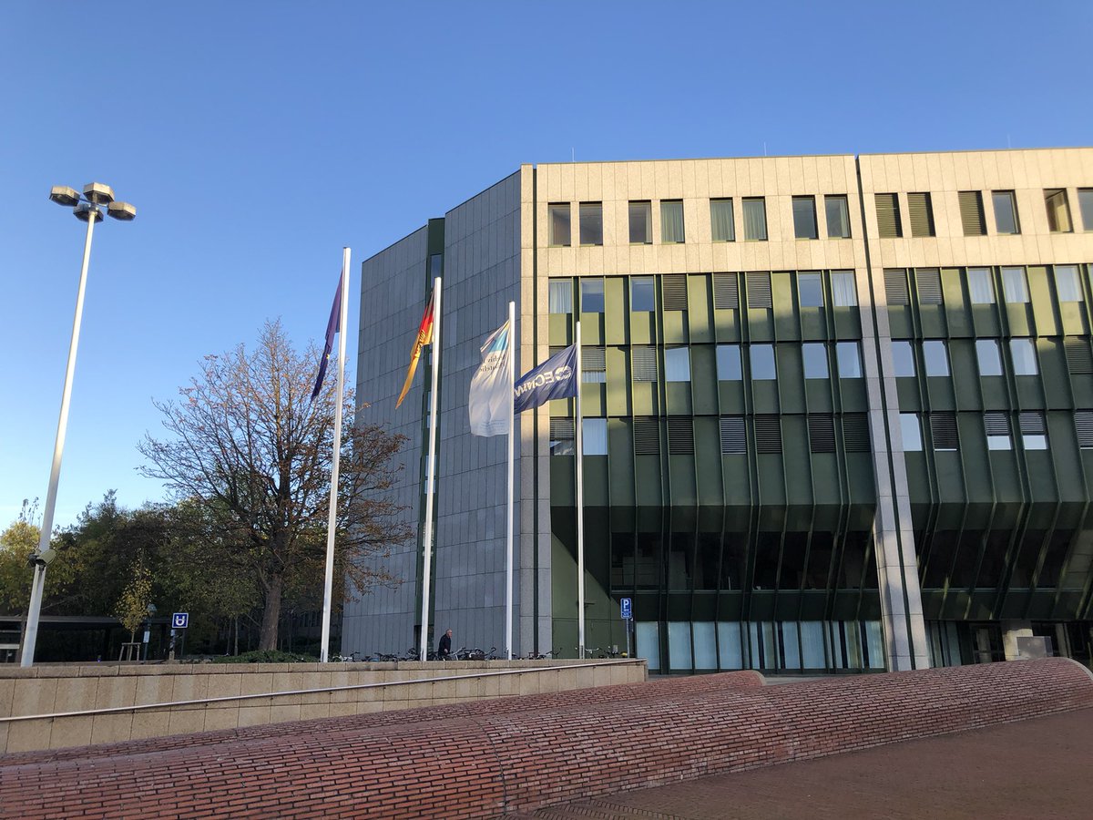 Randy Chase tweet media