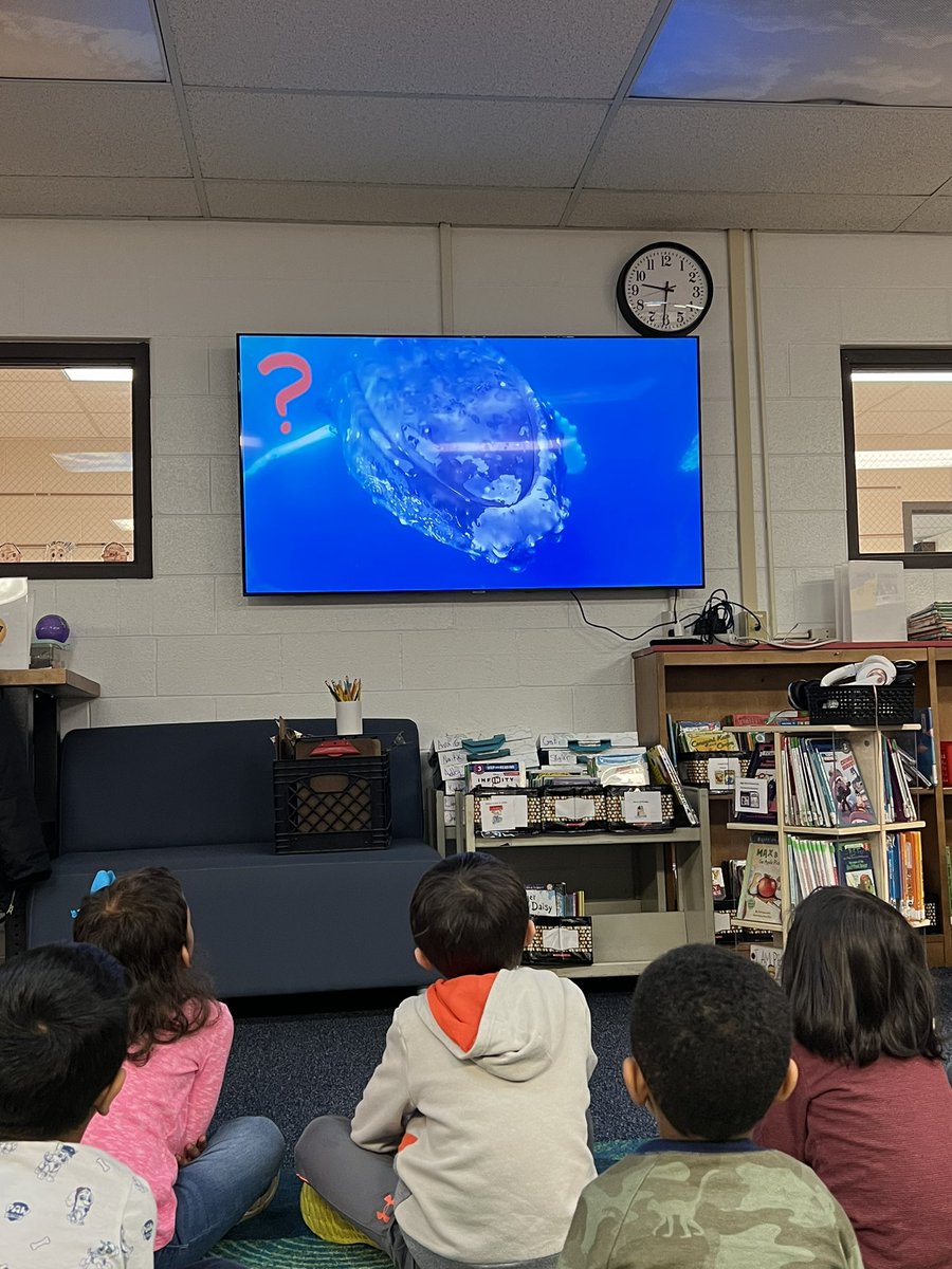 We learned about the zones in the iDC today. We are excited to try them out!