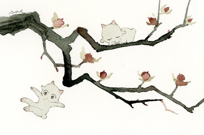 「瞑目 樹上」のTwitter画像/イラスト(新着)