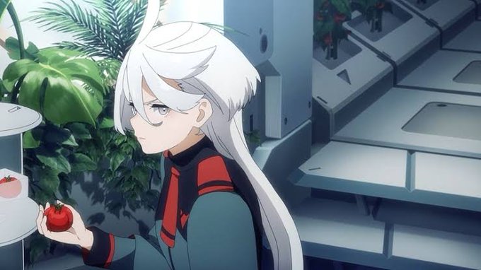 美味しんぼに「大地の赤」という回があり、どんな話かというとハウス栽培のトマトなんか食えるかと言う海原雄山にミオリネのトマト食わせたらめっちゃ旨くて、悔しくて自分の料亭のトマトを全部のそれに変えたという話です。 