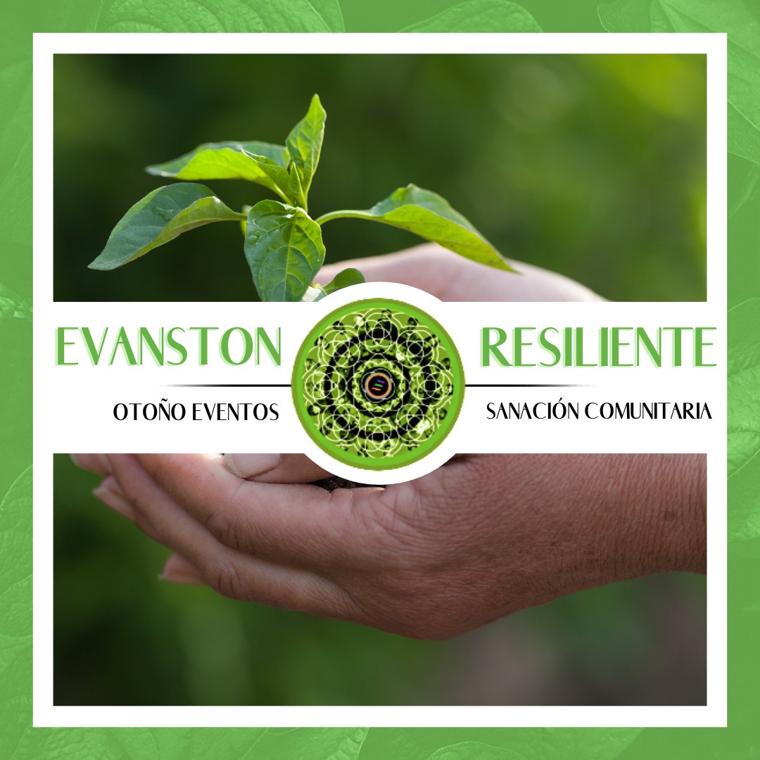 Evanston Cradle to Career tweet media