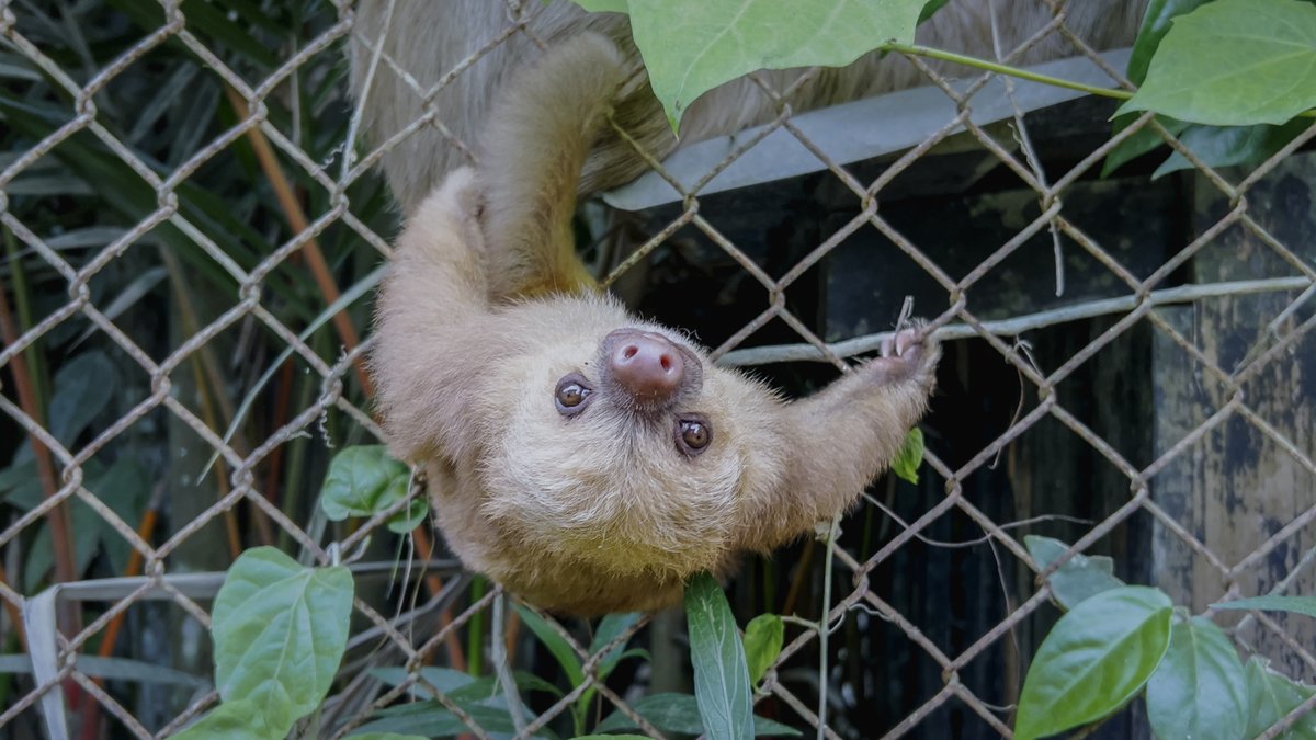 Girls Who Click tweet media