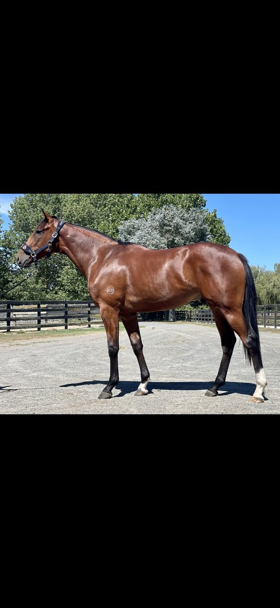 Jason Rice tweet media