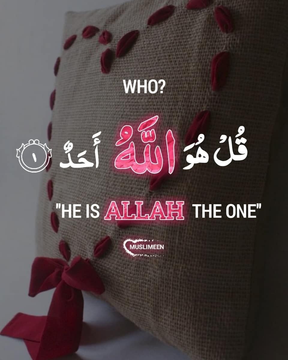 ❤️❤️السلام علیکم ورحمۃ اللہ وبرکاتہ❤️❤️

                  🌹🌹صبح بخیر🌹🌹