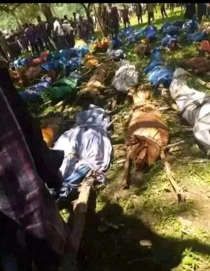 DhiirooGarbii's tweet photo. #Mandii, Wallagga. Civilians massacred by Abiy's drones. 09November2022 https://t.co/Xj7DNCZuwZ