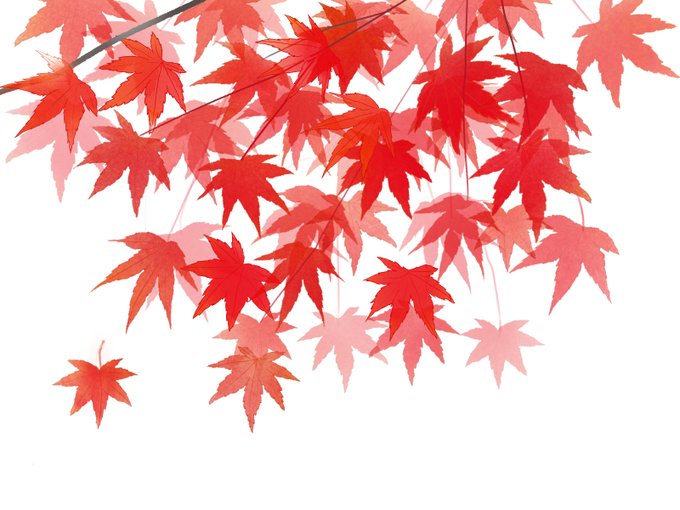 「紅葉」のTwitter画像/イラスト(新着))