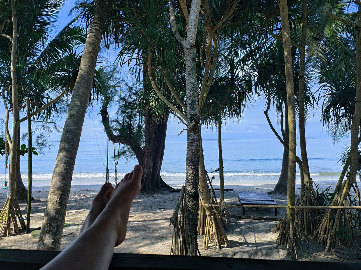 FrauDrombusch's tweet photo. Guten Morgen aus #Thailand https://t.co/1y7t2p0gnB