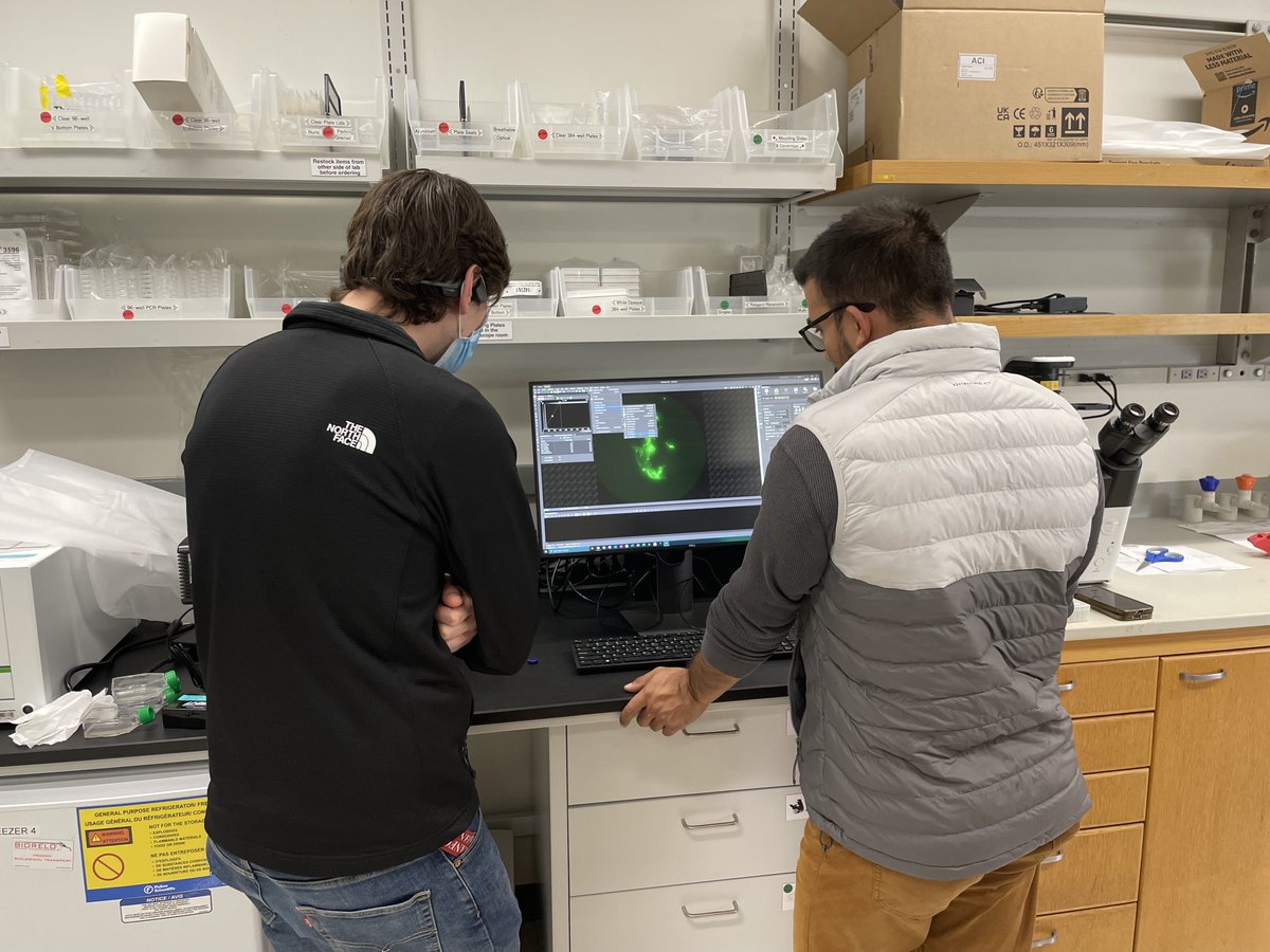 The FUNR Lab tweet media