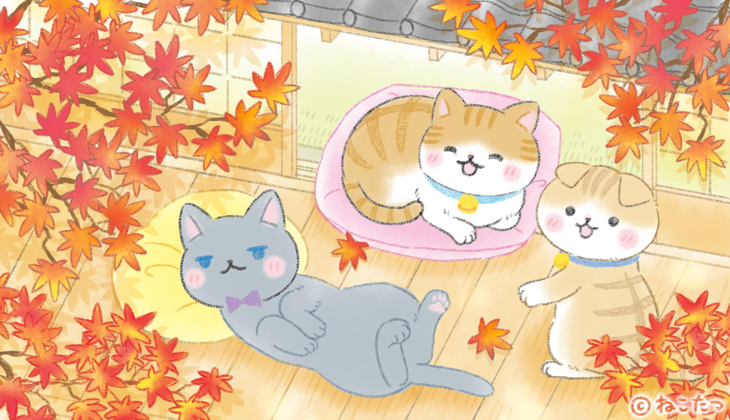 猫キャラクター Twitter Search Twitter