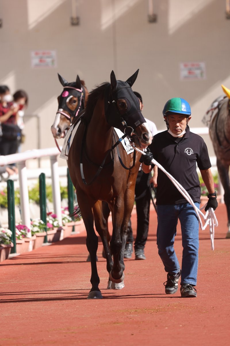アンジュミニョンちゃんお疲れ様でした。
幸あれ🍀ヽ(´ー｀) 