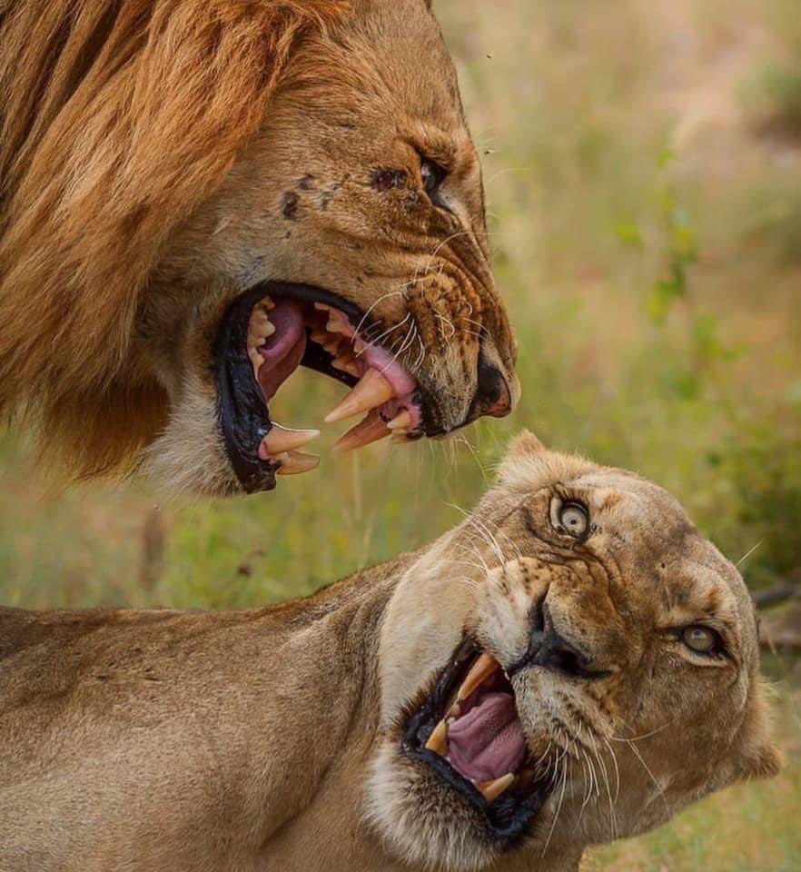 faiththegemini's tweet photo. Him:DELETE THAT NIGGA
ME:OK DAMN I heard you https://t.co/lhApKrJu66