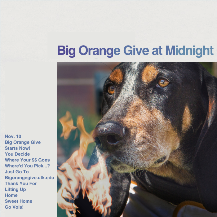 It's Midnights, Vols – #BigOrangeGive begins NOW! 
Let's show how #VolsHelpVols and reach 10,000 gifts in 24 hours. bit.ly/3UsIG70