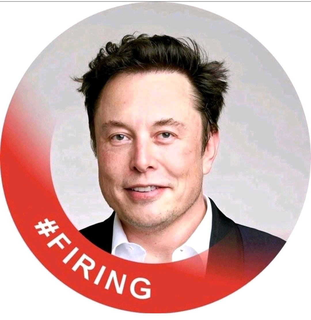 TharunnE's tweet image. @elonmusk make this as your dp, especially for linkedin 
#Firing #layoff