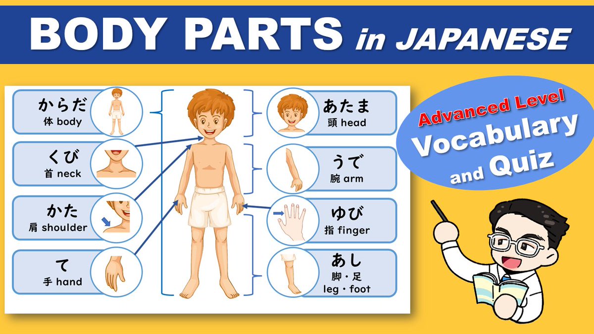TomoSensei's tweet photo. Let’s learn the name of the BODY PARTS in JAPANESE in this video! This lesson is perfect for the beginners who want to learn useful Japanese vocabulary.
✅https://t.co/NP0RDwsmsN 
#basicjapanese #learnjapanese #japanesevocabulary https://t.co/qiq1NyW45C