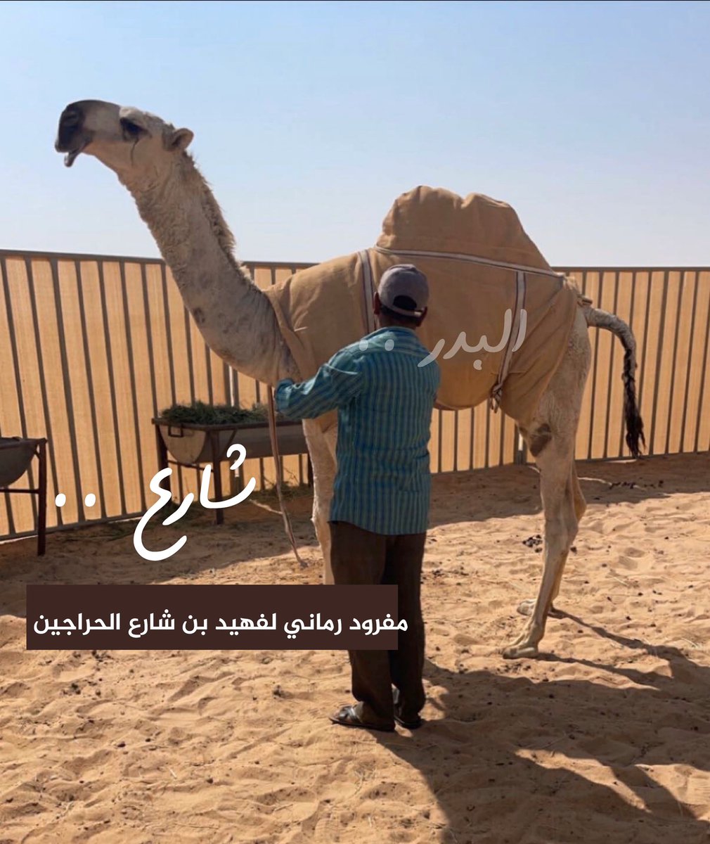 عاشق الوضحا .. al Bader 🅱️ tweet media