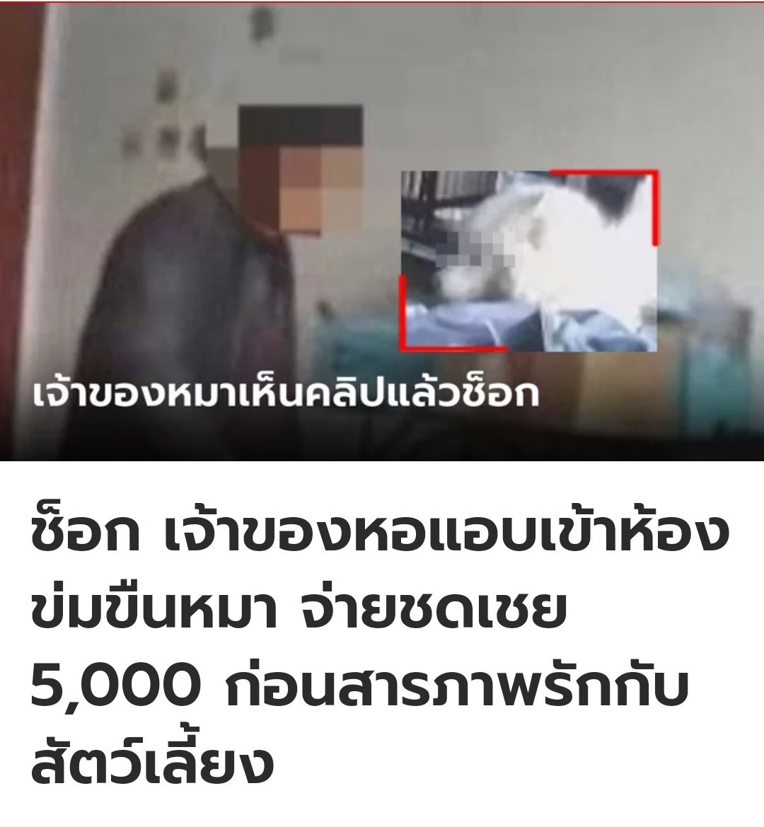 อีสัส เหี้ยอะไรเนี่ย น่าขยะแขยงมาก จิตใจคนเราแม่งน่ากลัวชิบหาย!!!!!!