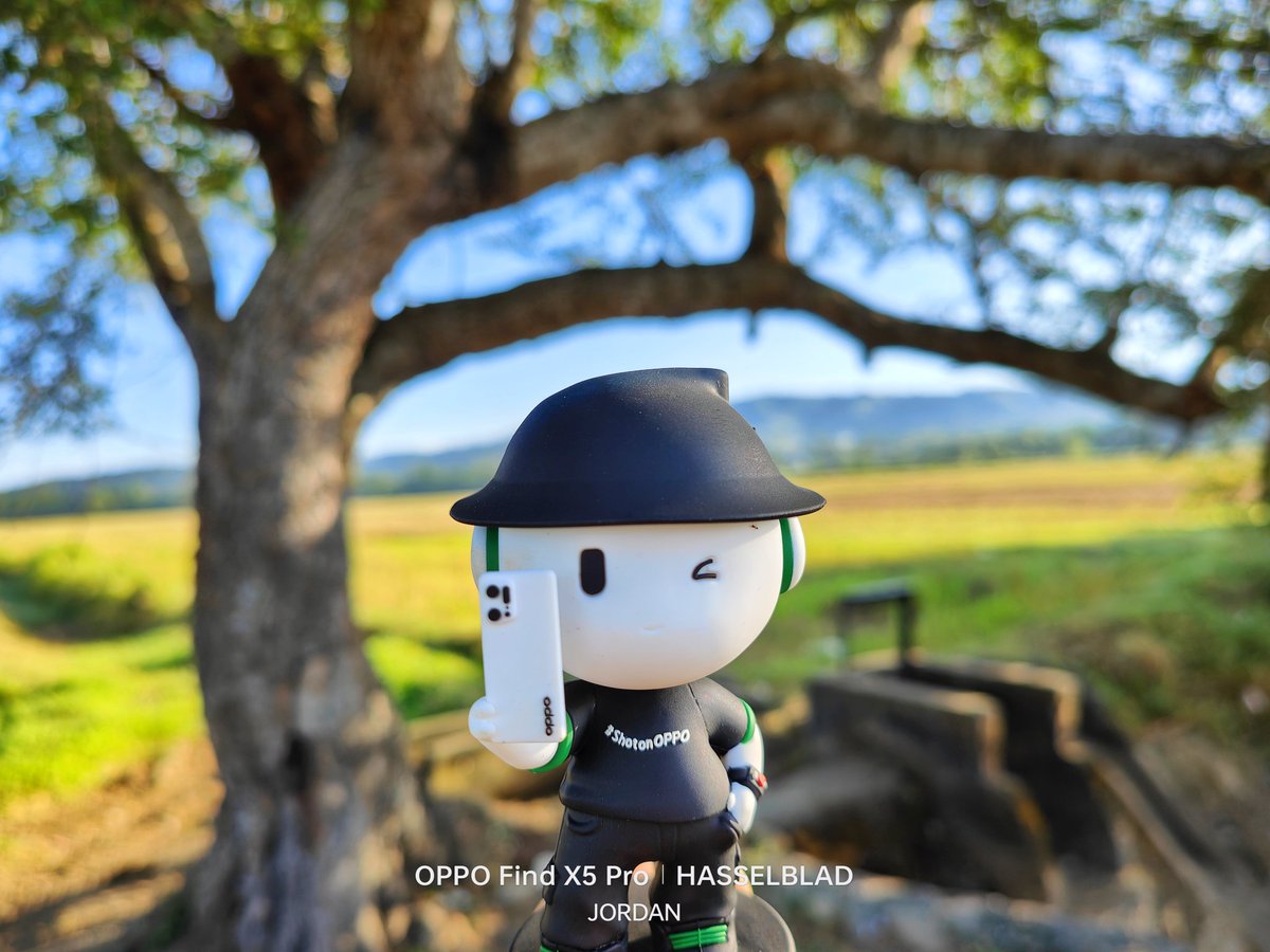 JordanMacadaeg's tweet photo. Where is Ollie?🤔
Swipe to the last slide to find it out!😉
Thank you so much @oppo 🤍💚✨🫰
#ISeeOPPO #ShotonOPPO #OPPOStreetview #OllieTravels #OPPOSummer #OPPOReno8Series #ThePortraitExpert #ReinterpretYourMoments #OPPOLookUp #OPPOPadAir #InspirationAhead #OPPOAmbassadors https://t.co/w5EsCIPeF2