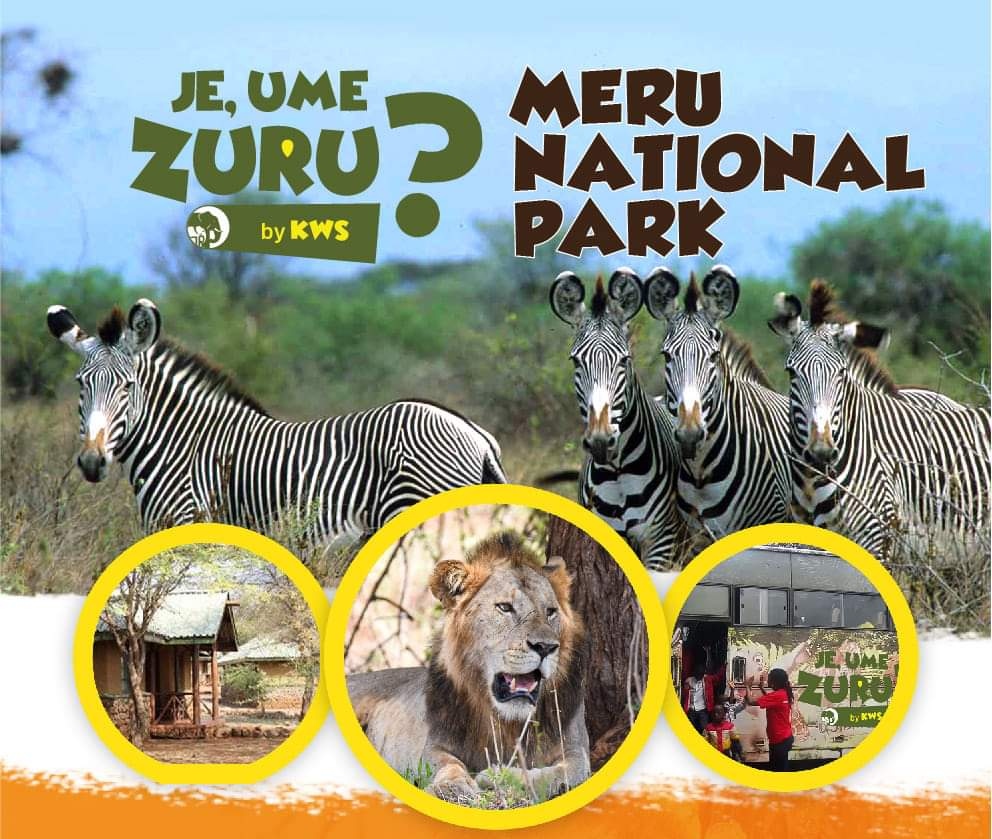 What do you know about <a href="/merupark/">Meru National Park</a> ?
#ZuruMeruPark
 #CompleteWilderness
#YouDeserveAHoliday
#TembeaKenya
@kwskenya <a href="/magicalkenya/">Kenya Tourism Board</a> <a href="/ToskKenya/">Tour Operators Society of Kenya</a> <a href="/MysticalMeru/">Mystical Meru</a> <a href="/DiscoverMeru/">#DiscoverMeru</a> <a href="/MeruCountyNews/">Meru County Updates</a>